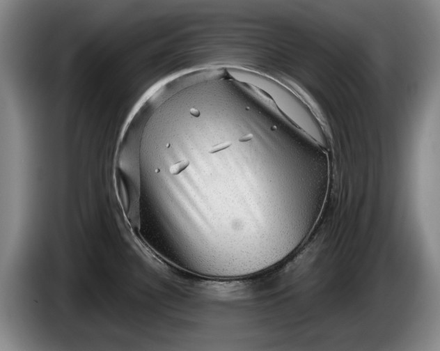 X0000084031340200703092002