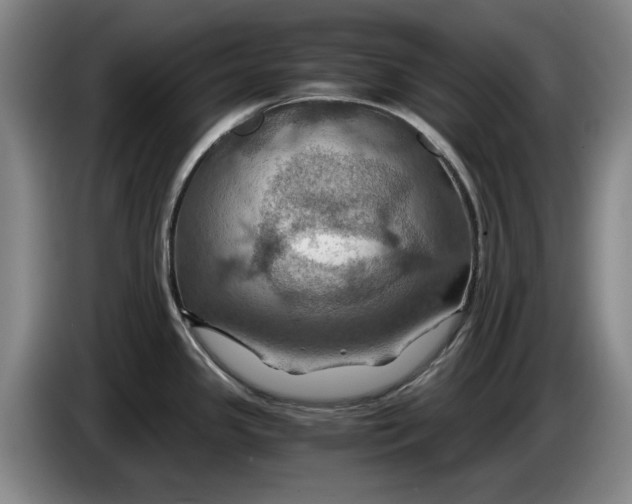 X0000084031341200703092002