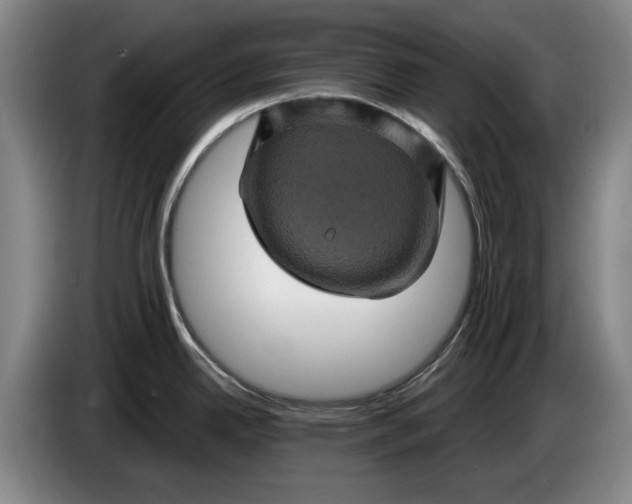 X0000084031342200703092002