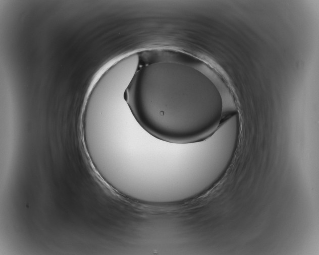 X0000084031344200703092002