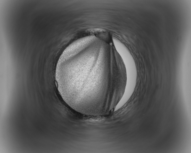 X0000084031345200703092001