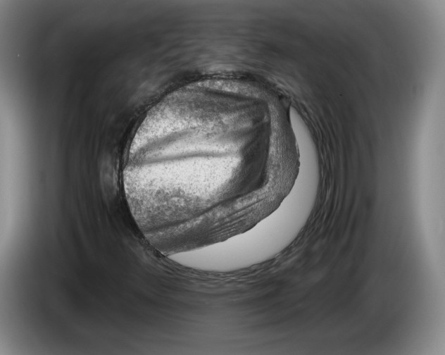 X0000084031348200703092001