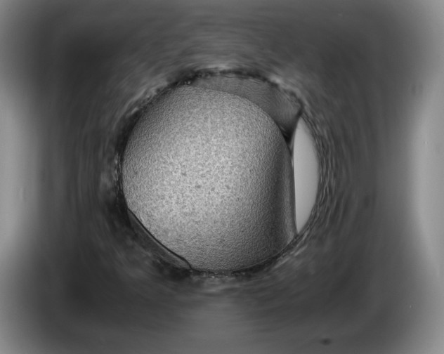 X0000084031349200703092001