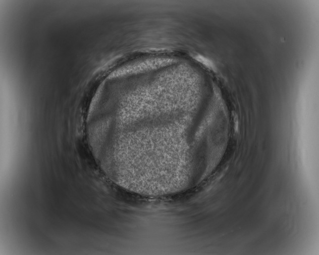 X0000084031350200703092001