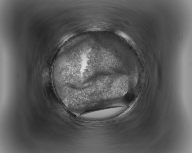 X0000084031353200703092001