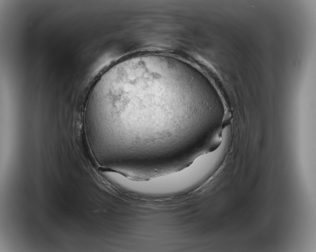 X0000084031355200703092001