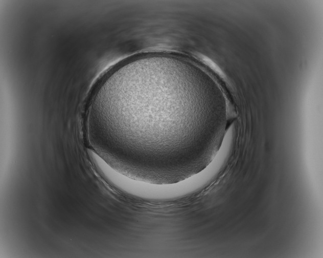 X0000084031356200703092001