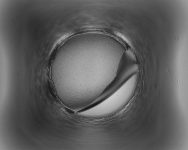 X0000084031357200703092001