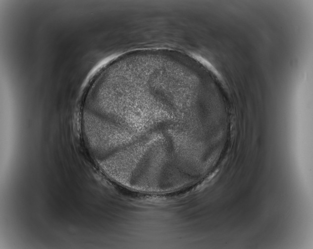 X0000084031358200703092001