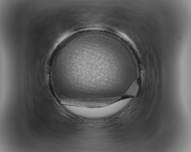 X0000084031360200703092001