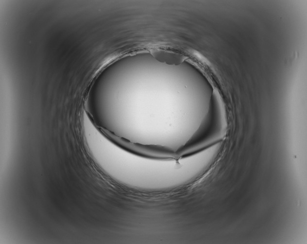 X0000084031361200703092001