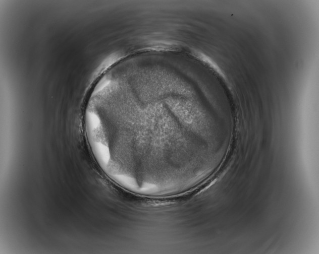 X0000084031362200703092001