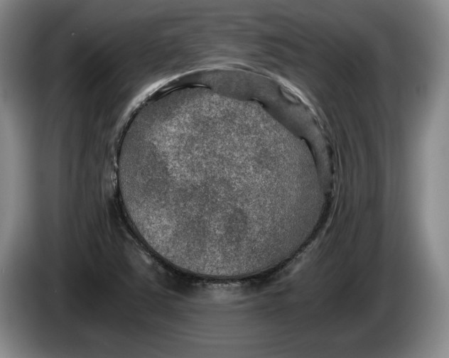 X0000084031363200703092001