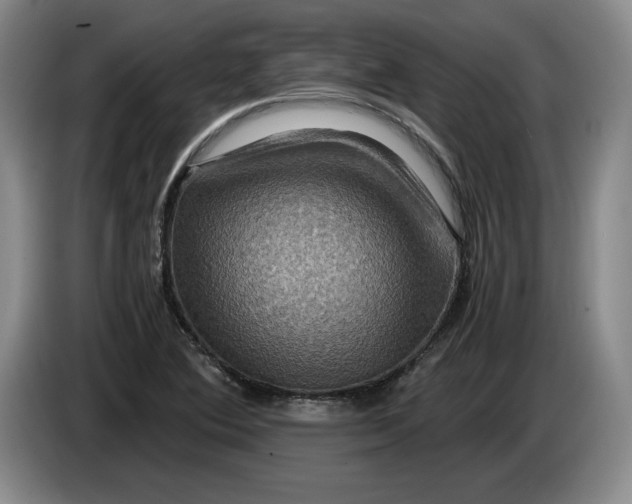 X0000084031364200703092001