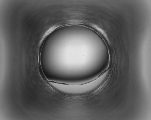 X0000084031365200703092001