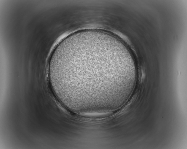 X0000084031366200703092001