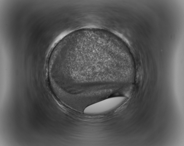 X0000084031367200703092001