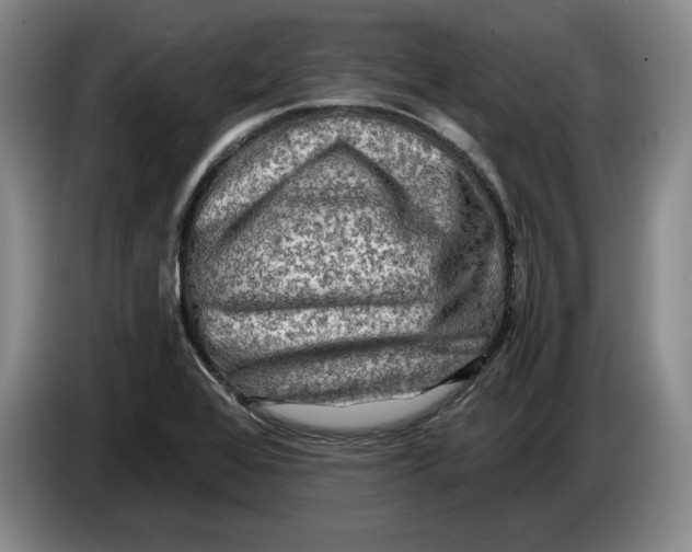 X0000084031368200703092001