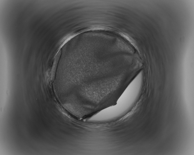 X0000084031369200703092001