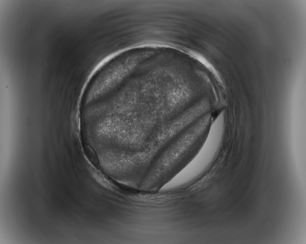 X0000084031372200703092000