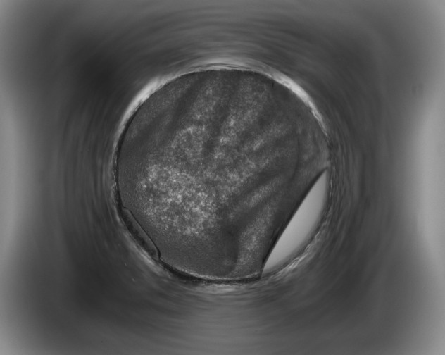 X0000084031373200703092000