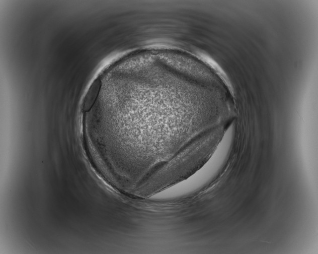 X0000084031376200703092000