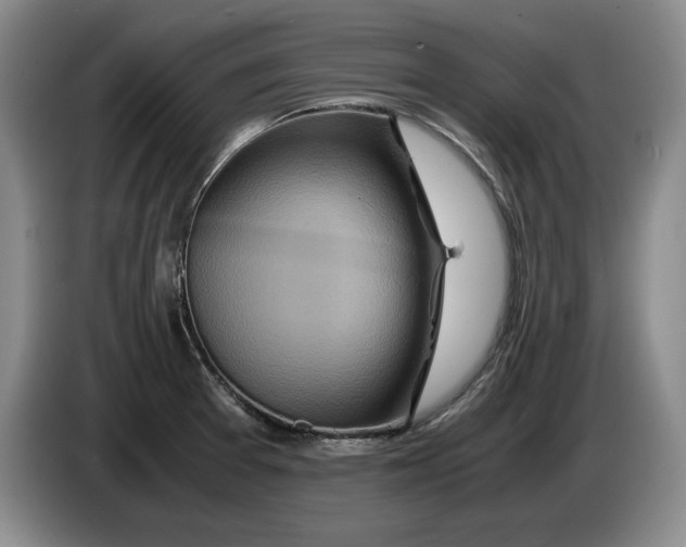 X0000084031377200703092000