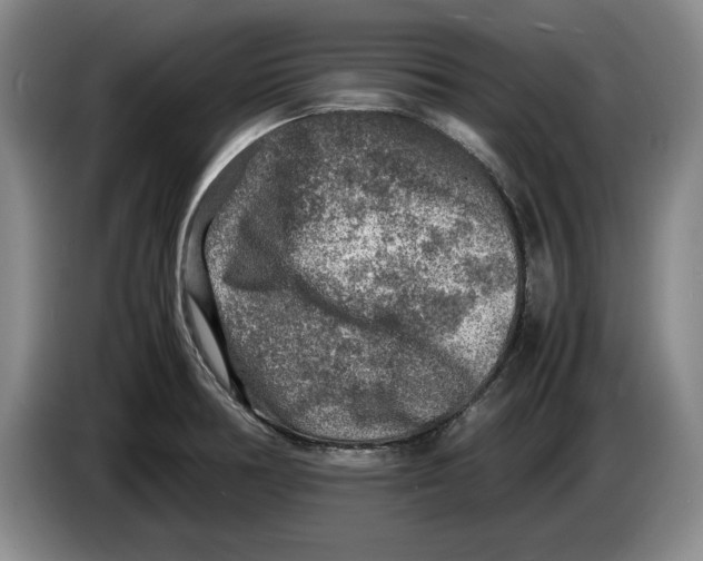 X0000084031378200703092000