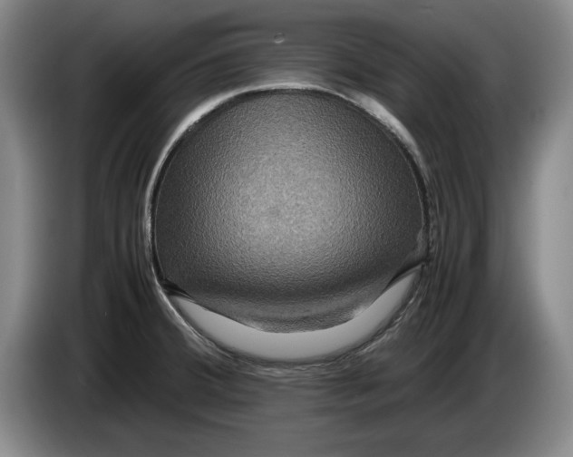 X0000084031380200703092000