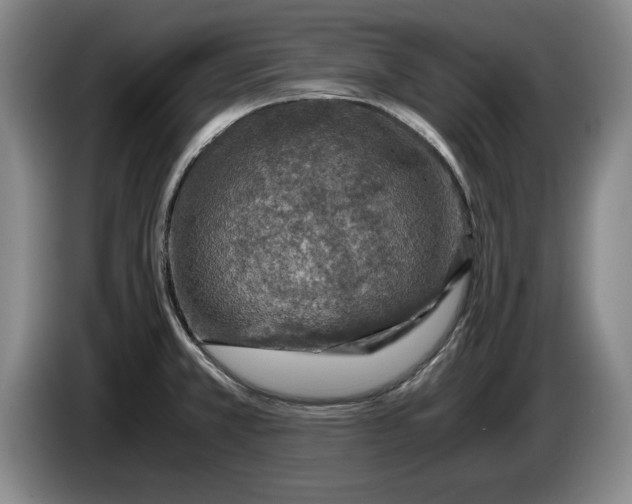 X0000084031381200703092000