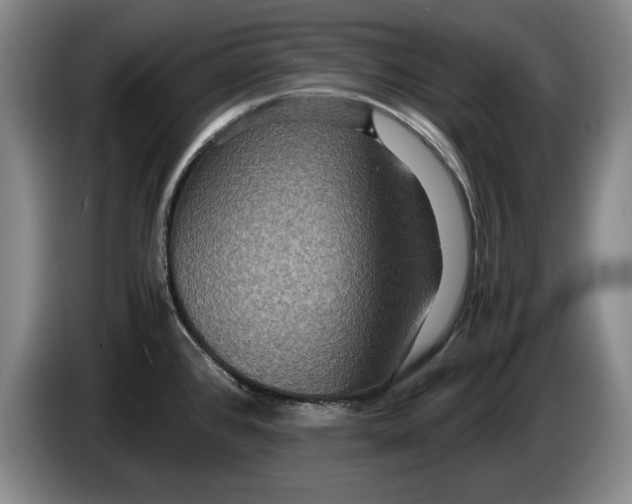 X0000084031384200703092000