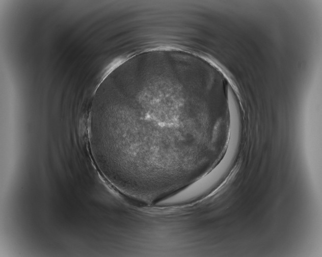 X0000084031385200703092000