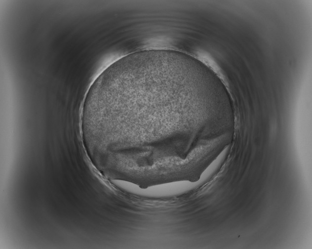 X0000084031386200703092000