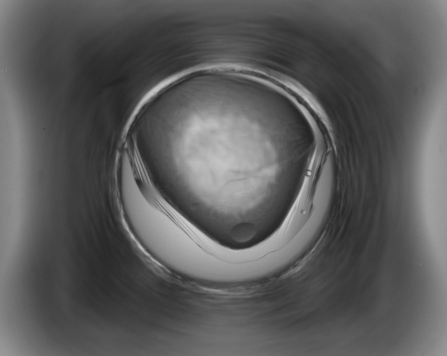 X0000084031388200703092000