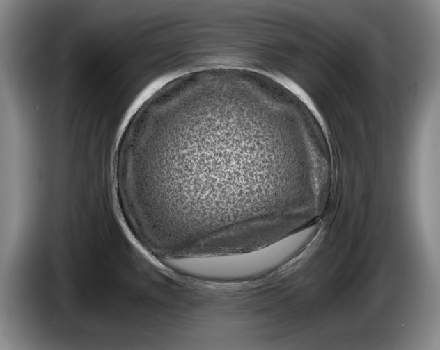 X0000084031389200703092000