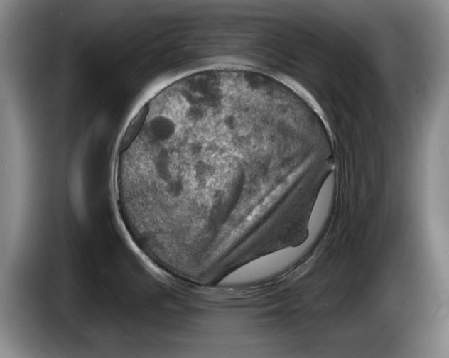 X0000084031391200703092000