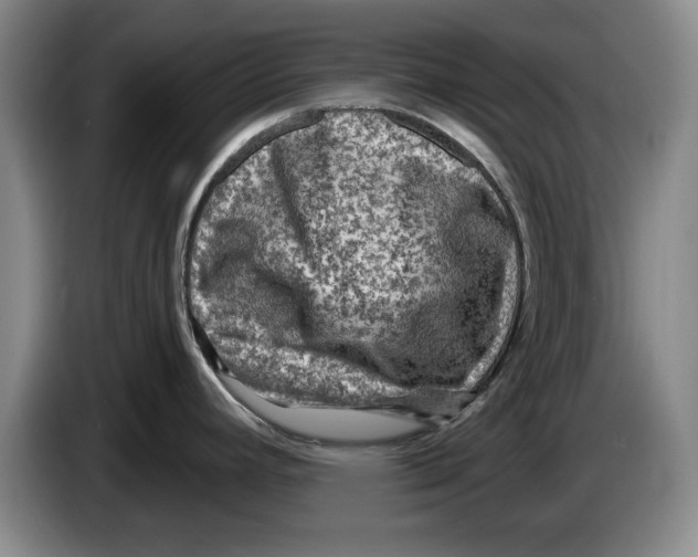 X0000084031392200703092000