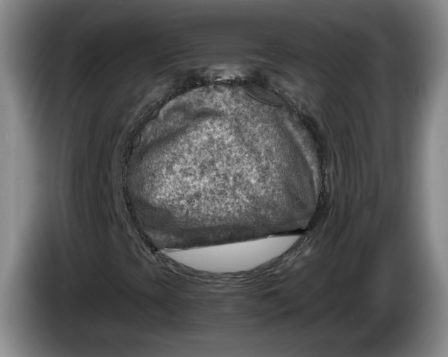 X0000084031393200703091959