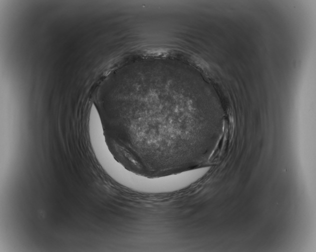 X0000084031394200703091959