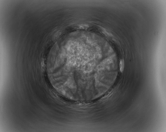 X0000084031395200703091959