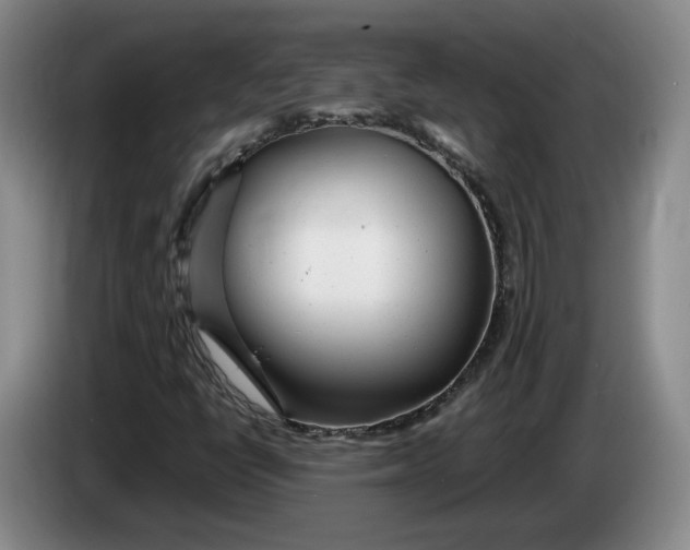 X0000084031398200703091959