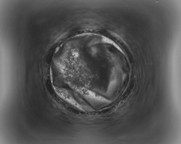 X0000084031399200703091959