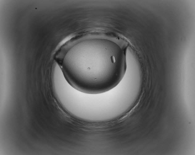 X0000084031402200703091959