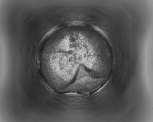 X0000084031403200703091959