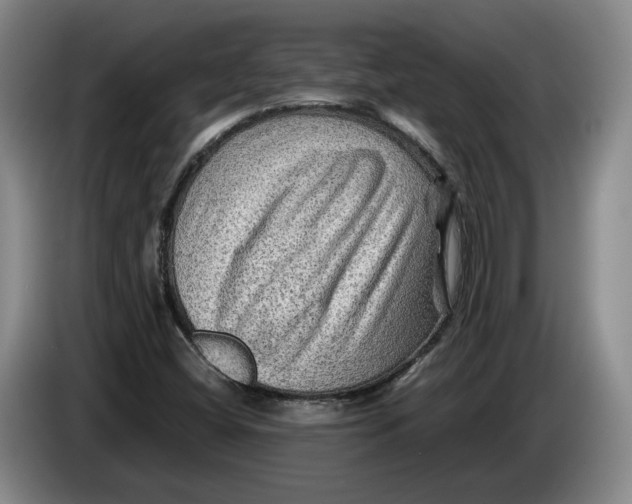 X0000084031404200703091959