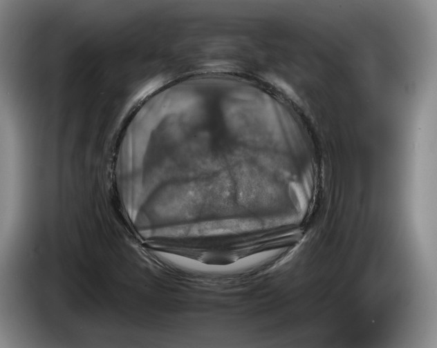 X0000084031405200703092000