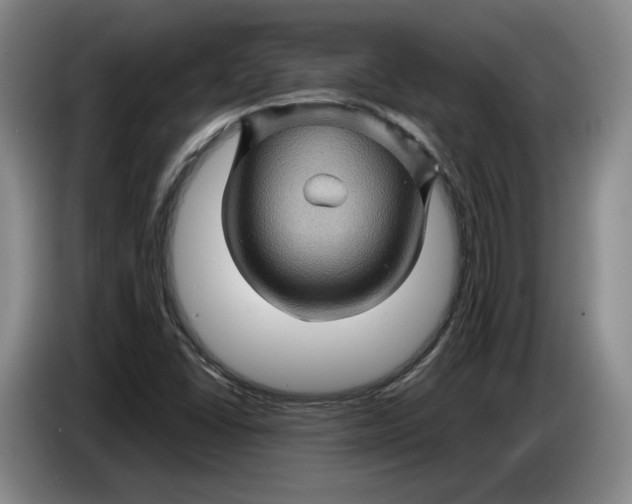 X0000084031406200703092000