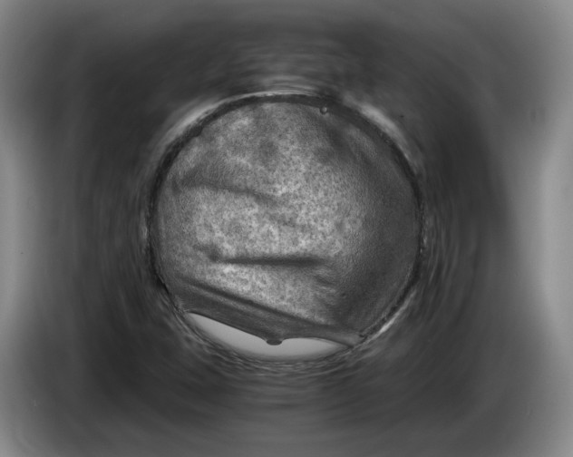 X0000084031407200703092000