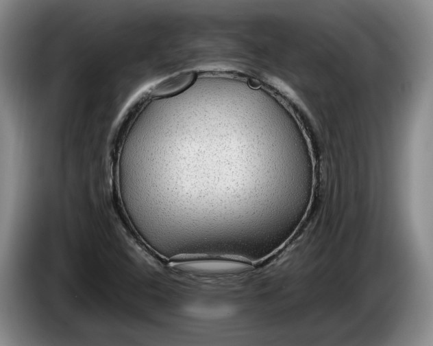 X0000084031408200703092000