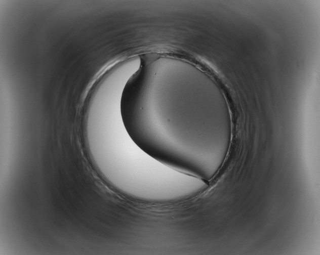 X0000084031410200703092000